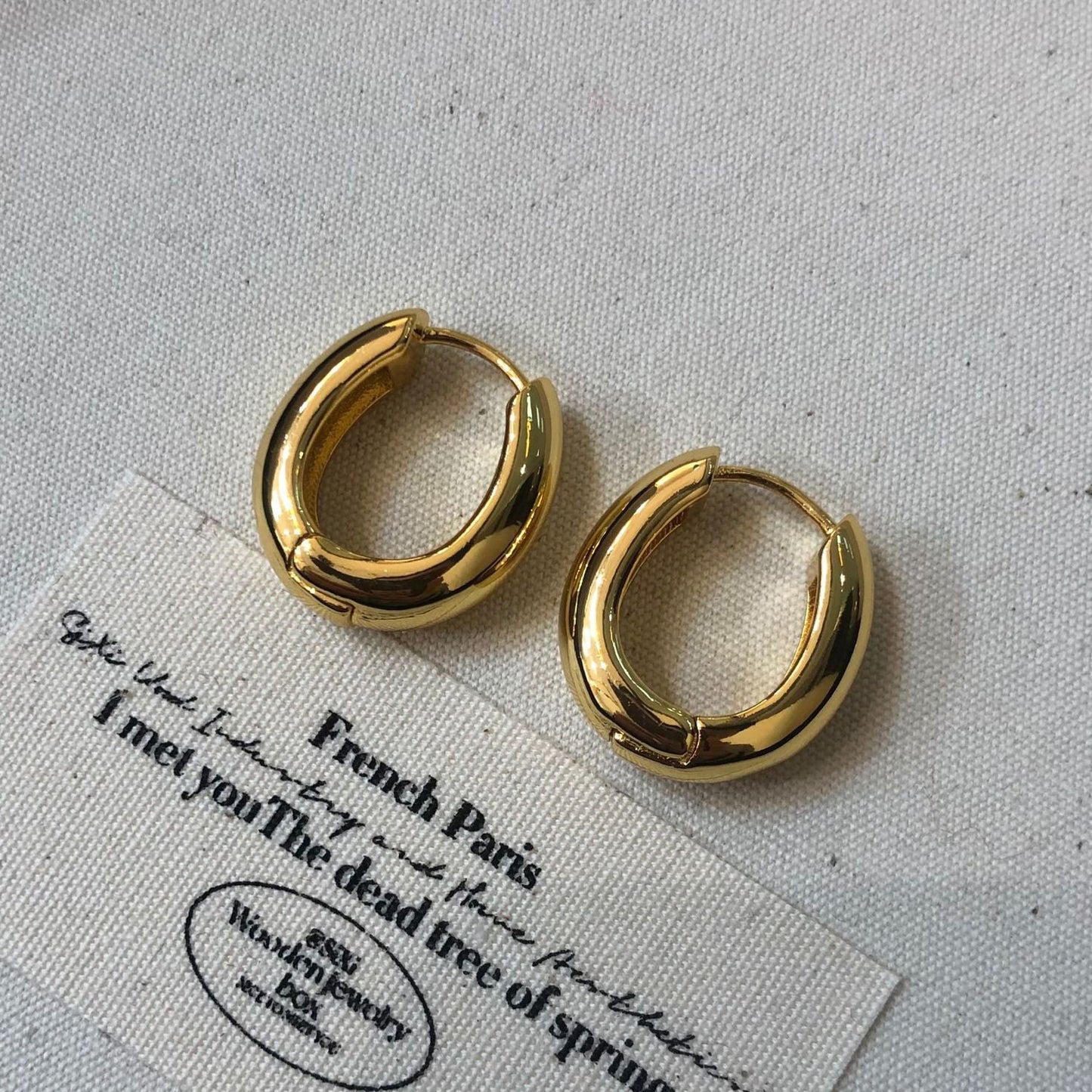 【🎁 B2G1｜先行スタート！】【グッズ】フレンチレトロ クールムード 高級感漂う デザイン ピアス